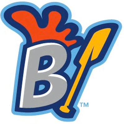 Green Bay Booyah 2019-Pres Alternate Logo iron on heat transfer